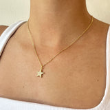 Collar Gild Star