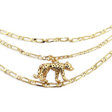 Collar Jaguar Wall Street